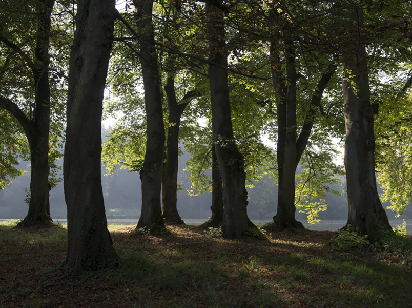 Parc Jean-Jacques Rousseau