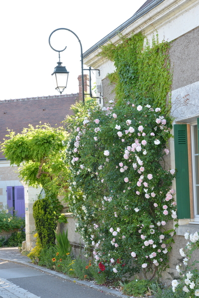Chédigny village jardin