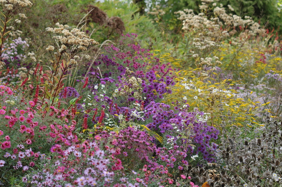 Pépinière Jardin Antoine Breuvart