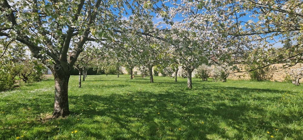 Domaine de Courtmoulin
