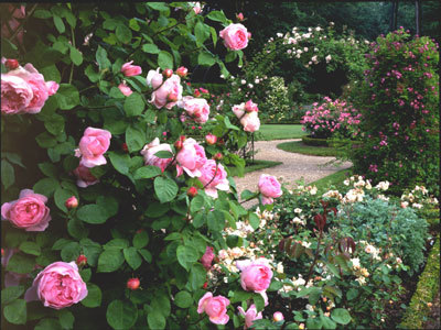 JARDINS DE L'ABBAYE ROYALE DE CHAALIS