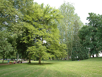 PARC D'ALLIER