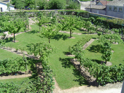 JARDIN DES PLANTES MÉDICINALES ET VERGER CONSERVATOIRE