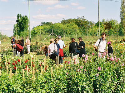 PARC DÉPARTEMENTAL DES LILAS