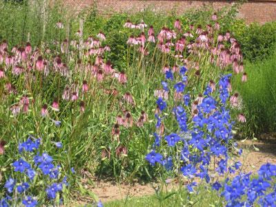 Les Jardins de la Lys