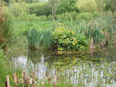 Le Jardin du Naturaliste