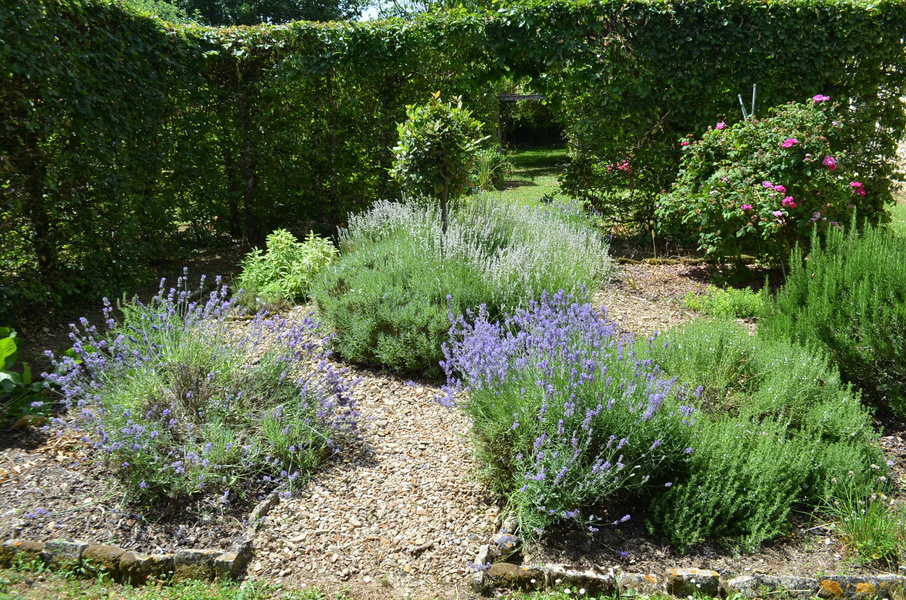 JARDIN DU LOGIS DE LA BARONNIÈRE