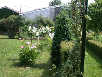 JARDIN DE CHEZ CHIRON