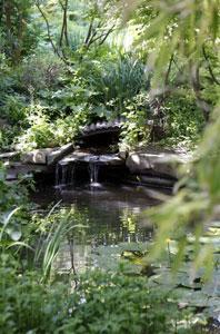 JARDIN BOTANIQUE DE LA VILLE DE CLERMONT-FERRAND