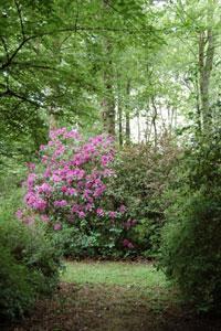 Arboretum du Chêne-Vert