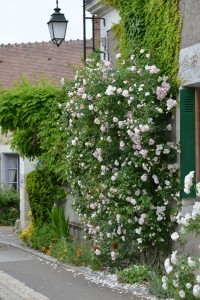 Chédigny village jardin