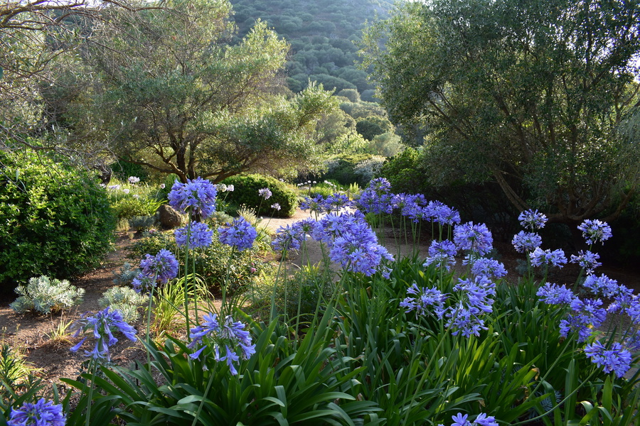 PARC DE SALECCIA