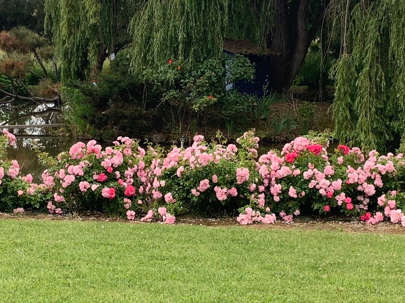 Le jardin de Laroque