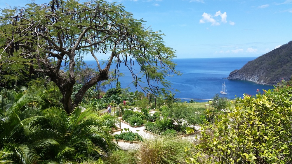 JARDIN BOTANIQUE DE DESHAIES