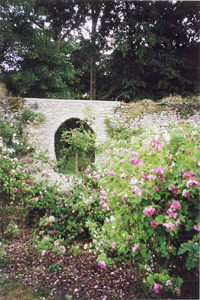 JARDINS DU CHÂTEAU DE THOIRY