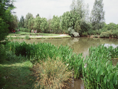 PARC SAINT PIERRE