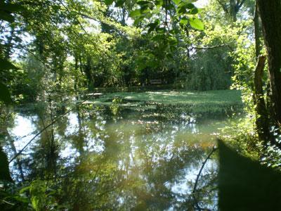 Jardin de la Source