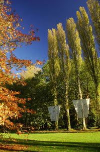 Château du CLOS LUCÉ - Parc LEONARDO DA VINCI