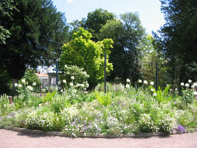 JARDIN DE L'HÔTEL DE VILLE