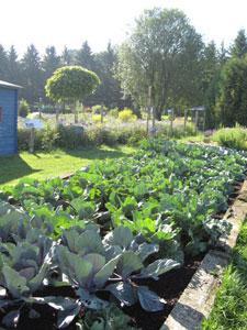 LES JARDINS DE LA TERRE