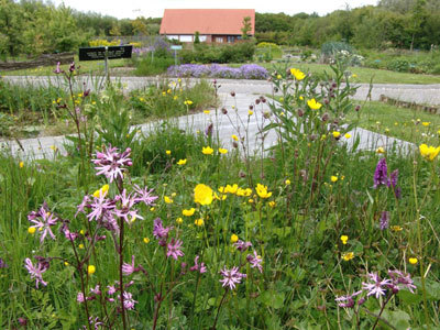 Jardin des plantes sauvages et Jardin des plantes médicinales