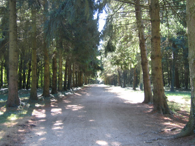 PARC DU CHÂTEAU DE PIERRE-DE-BRESSE