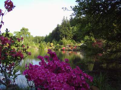 JARDIN BOTANIQUE DE GONDREMER