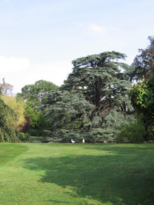 JARDIN DU TROCADÉRO