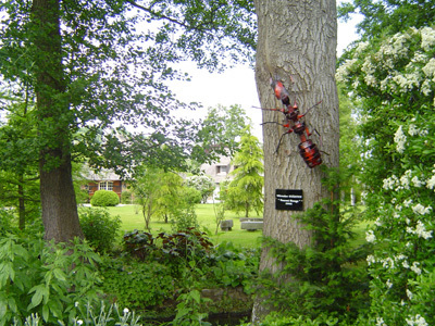 JARDINS DU CHÂTEAU DE VASCOEUIL