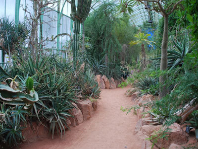 Jardin Botanique de Lyon