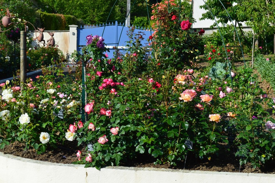 Le Jardin des Roses