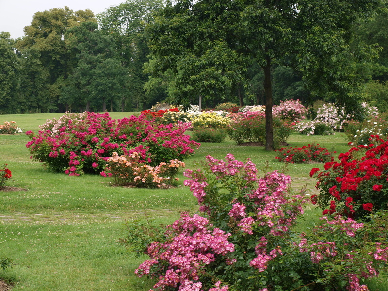 Parc de Bagatelle