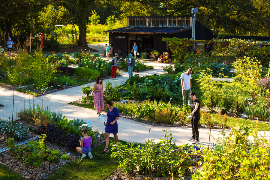 LE POTAGER EXTRAORDINAIRE