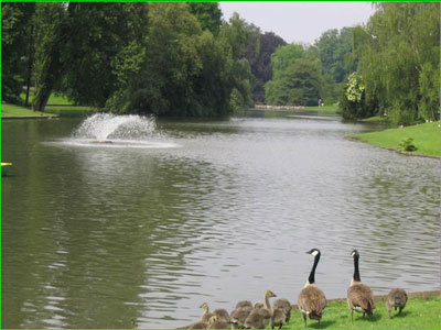 PARC BARBIEUX