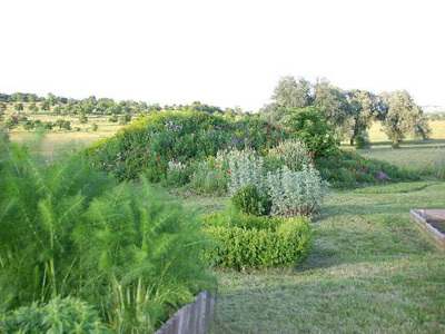 JARDIN EXPÉRIMENTAL GALLO ROMAIN DU GURTELBACH