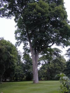 PARC DE LA PERRAUDIÈRE