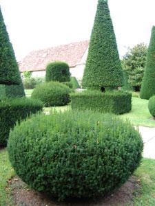 Parc et jardins du château d'Azay le Ferron