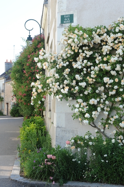 Chédigny village jardin