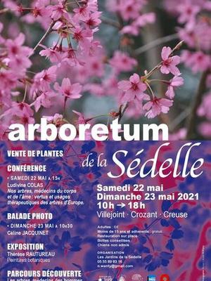 Arboretum de la Sédelle - Journées des plantes mai 2021