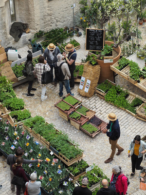 La fête de plantes du Mucem