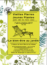 Vieilles pierres, jeunes plantes