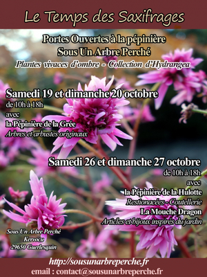 Le temps des saxifrages 2019 à Guerlesquin