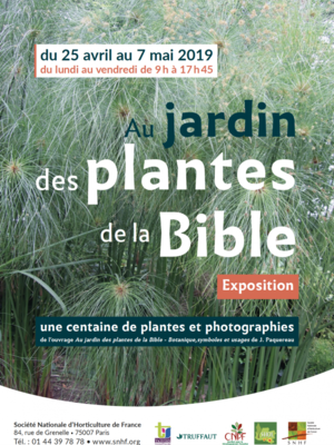Au jardin des plantes de la Bible – Botanique, symboles et usages