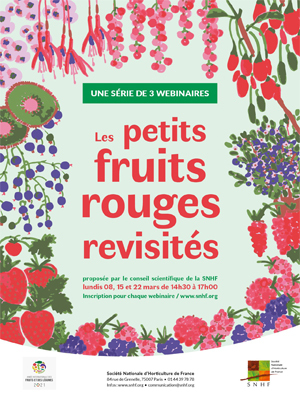 Les petits fruits rouges revisités - 3 webinaires