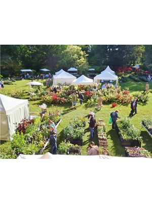 Fête des Plantes d'automne Autrey