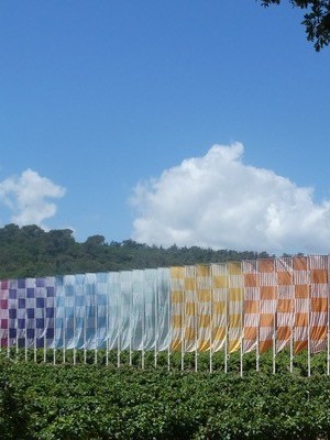Jardins d'artistes