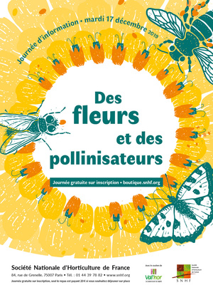 Des fleurs et des pollinisateurs
