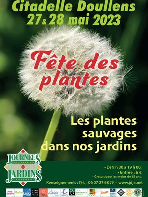 JOURNÉES DOULLENNAISES DES JARDINS D'AGRÉMENT