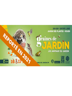 Report Graines de jardin en 2021