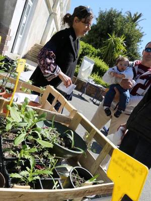 Des Plantes à Troquer à Bouloris